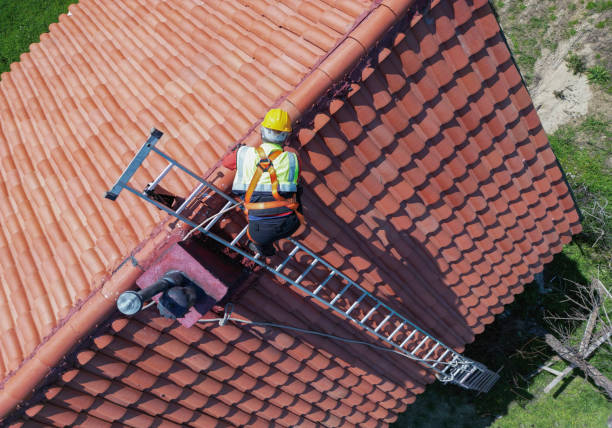 Roof Insulation Installation in Deer Park, TX